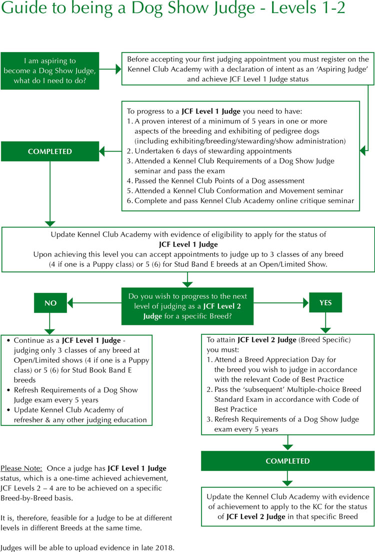 how do i become a dog judge uk