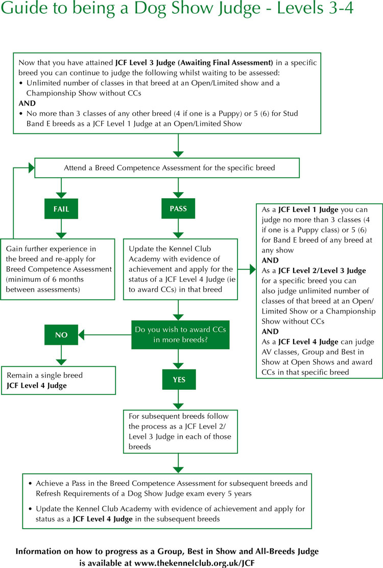 how do i become a dog judge uk